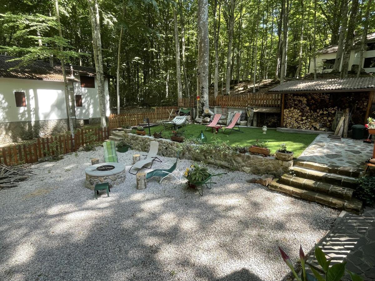 Chalet I Folletti Lejlighed Abbadia San Salvator Eksteriør billede