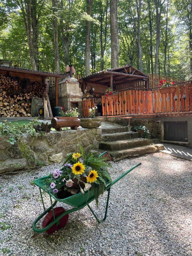 Chalet I Folletti Lejlighed Abbadia San Salvator Eksteriør billede